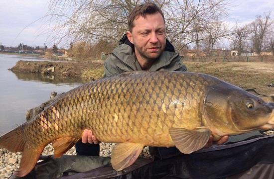 S-au dezghetat baltile. Primul crap de la Hermes Peris a fost prins astazi si a depasit 17 kg.